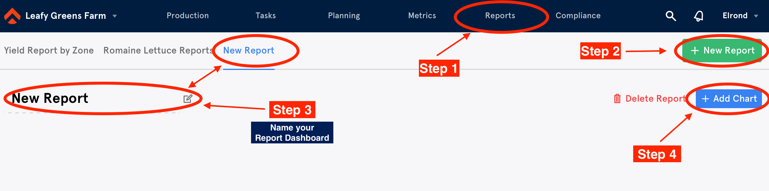 Report__Creating_a_Chart.png